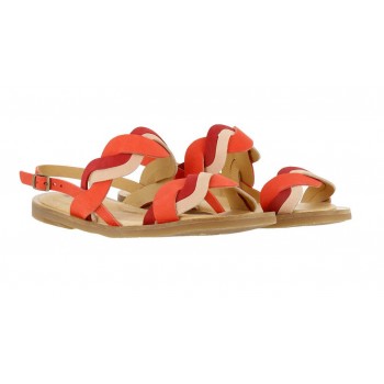 5188 TULIP / PLEASANT CORAL MIXED