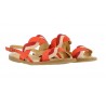 5188 TULIP / PLEASANT CORAL MIXED